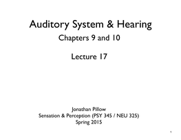 Auditory System & Hearing