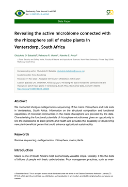 Revealing the Active Microbiome Connected with the Rhizosphere Soil of Maize Plants in Ventersdorp, South Africa