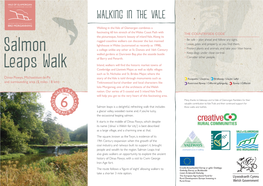 Salmon Falls Walk Online Leaflet English