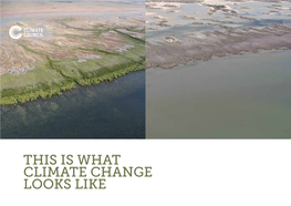 THIS IS WHAT CLIMATE CHANGE LOOKS LIKE Please Note That the Photos of Healthy and Degraded Ecosystems Are Not Necessarily of the Same Locations in All Examples