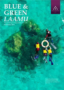 Blue & Green Laamu