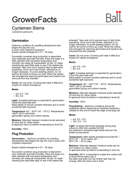 Growerfacts Cyclamen Sierra (Cyclamen Persicum)