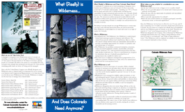 "What (Really) Is Wilderness?" Brochure