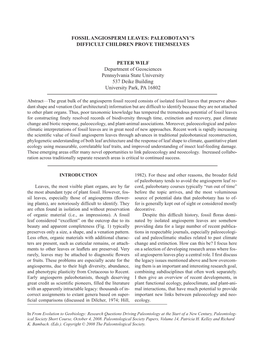 Fossil Angiosperm Leaves: Paleobotany's Difficult