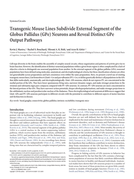 Transgenic Mouse Lines Subdivide External Segment of the Globus Pallidus (Gpe) Neurons and Reveal Distinct Gpe Output Pathways