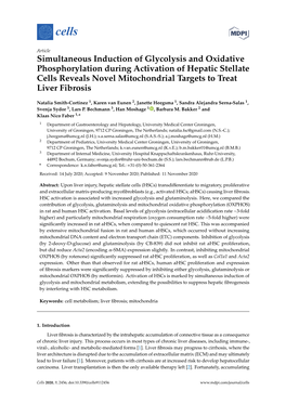 Simultaneous Induction of Glycolysis and Oxidative Phosphorylation