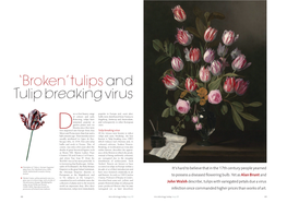 'Broken'tulips and Tulip Breaking Virus