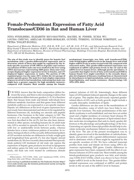 Female-Predominant Expression of Fatty Acid Translocase/CD36 in Rat and Human Liver