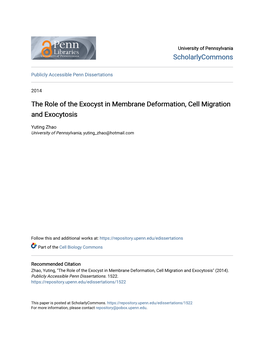 The Role of the Exocyst in Membrane Deformation, Cell Migration and Exocytosis