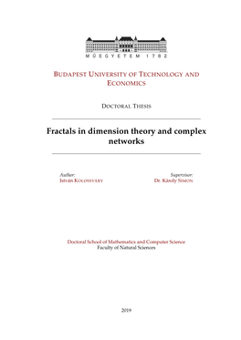 Fractals in Dimension Theory and Complex Networks