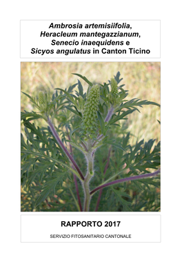 Ambrosia Artemisiifolia, Heracleum Mantegazzianum, Senecio Inaequidens E Sicyos Angulatus in Canton Ticino