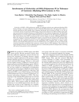 Involvement of Escherichia Coli DNA Polymerase IV in Tolerance of Cytotoxic Alkylating DNA Lesions in Vivo