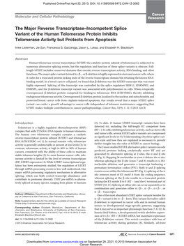 The Major Reverse Transcriptase–Incompetent Splice Variant of the Human Telomerase Protein Inhibits Telomerase Activity but Protects from Apoptosis