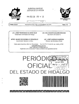 Del Estado De Hidalgo Secretario De Gobierno