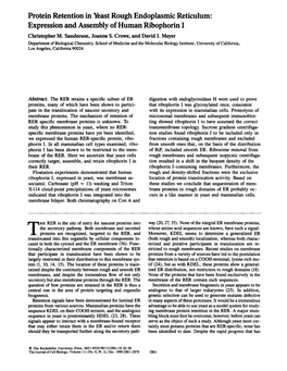 Protein Retention in Yeast Rough Endoplasmic Reticulum: Expression and Assembly of Human Ribophorin I Christopher M