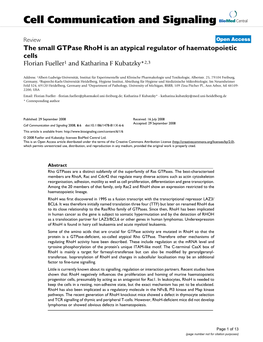 The Small Gtpase Rhoh Is an Atypical Regulator of Haematopoietic Cells Florian Fueller1 and Katharina F Kubatzky*2,3