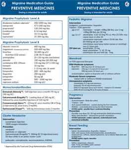 Medication-Guide.Pdf