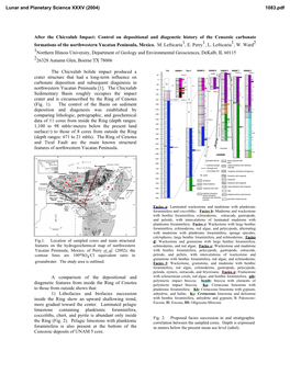 After the Chicxulub Impact: Control on Depositional and Diagenetic History of the Cenozoic Carbonate Formations of the Northwestern Yucatan Peninsula, Mexico