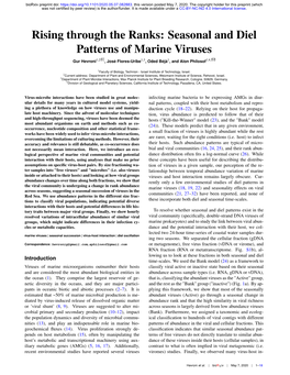 Rising Through the Ranks: Seasonal and Diel Patterns of Marine Viruses