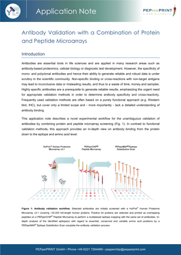 Antibody Validation with a Combination of Protein and Peptide Microarrays