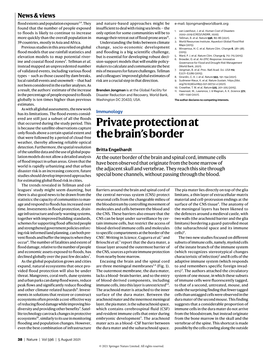 Private Protection at the Brain's Border