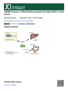 LIN28B Induces a Differentiation Program Through CDX2 in Colon Cancer