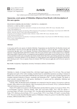 Inpauema, a New Genus of Odiniidae (Diptera) from Brazil, with Description of Five New Species