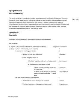 Sparganiaceae Bur‐Reed Family