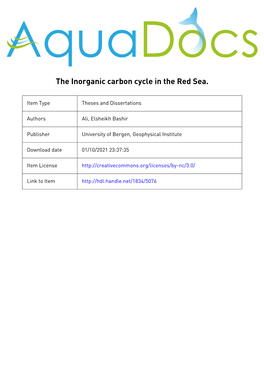 The Inorganic Carbon Cycle in the Red Sea