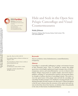 Hide and Seek in the Open Sea: Pelagic Camouflage and Visual