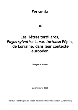 Ferrantia Les Hêtres Tortillards, Fagus Sylvatica L. Var. Tortuosa Pépin, De