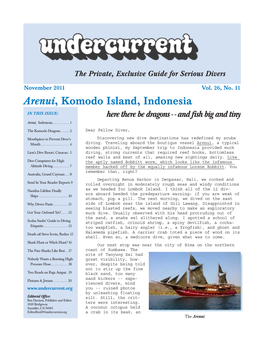 Arenui, Komodo Island, Indonesia + [Other Articles]