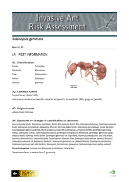 Solenopsis Geminata (A) PEST INFORMATION