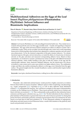 Multifunctional Adhesives on the Eggs of the Leaf Insect Phyllium Philippinicum (Phasmatodea: Phylliidae): Solvent Inﬂuence and Biomimetic Implications