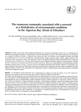 The Cumacean Community Associated with a Seaweed As a Bioindicator of Environmental Conditions in the Algeciras Bay (Strait of Gibraltar)