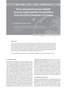 New and Poorly Known Middle Jurassic Larger Benthic Foraminifera from the Karst Dinarides of Croatia 