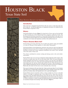 Houston Black Texas State Soil