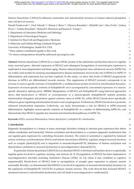 Histone Deacetylase 2 (HDAC2) Influences Maturation and Mitochondrial Dynamics in Human Induced Pluripotent 1 Stem Cell Derived Neurons