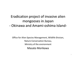 Eradication Project of Invasive Alien Mongooses on Amami-Oshima