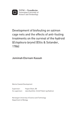 Development of Biofouling on Salmon Cage Nets and the Effects of Anti-Fouling Treatments on the Survival of the Hydroid (Ectopleura Larynx) (Ellis & Solander, 1786)