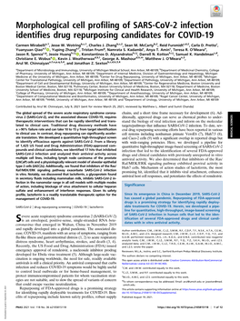 Morphological Cell Profiling of SARS-Cov-2 Infection Identifies Drug Repurposing Candidates for COVID-19