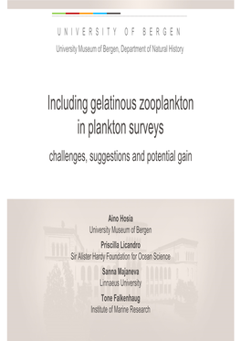 Including Gelatinous Zooplankton in Plankton Surveys Challenges, Suggestions and Potential Gain