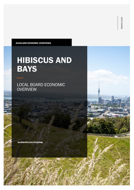 Hibiscus and Bays Local Economic Overview 2019