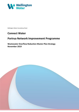 Connect Water Porirua Network Improvement Programme