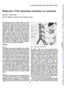 Responses of the Splanchnic Circulation to Ischaemia