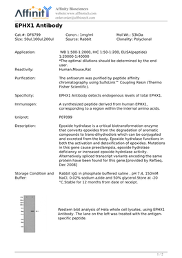 DF6799-EPHX1 Antibody