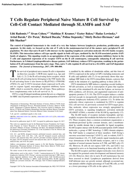 T Cells Regulate Peripheral Naive Mature B Cell Survival by Cell–Cell Contact Mediated Through SLAMF6 and SAP