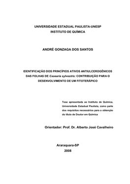 ANDRÉ GONZAGA DOS SANTOS Orientador: Prof. Dr. Alberto José