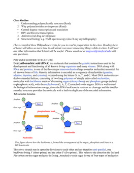 Class Outline 1. Understanding Polynucleotide Structure (Read) 2. Why Polynucleotides Are Important (Read) • Central Dogma- Tr