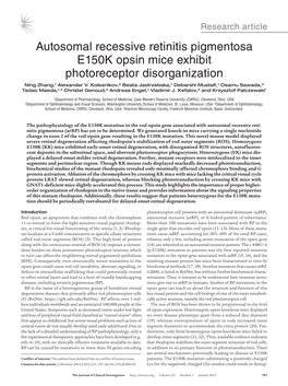 Autosomal Recessive Retinitis Pigmentosa E150K Opsin Mice Exhibit Photoreceptor Disorganization Ning Zhang,1 Alexander V